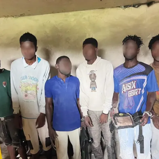 Police arrest 24 suspects in Ashanti Region anti-drug and crime sweep
