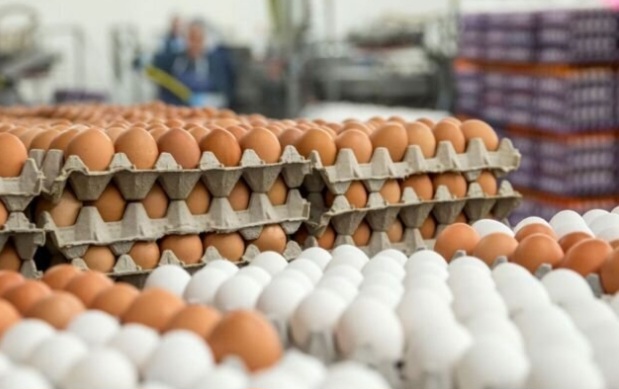Ghana, Burkina Faso agree to lift egg export ban; plan joint trade steps