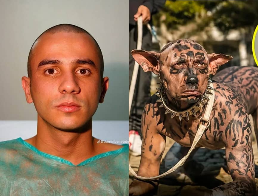 Misinformation in motion: The Toco costume and the danger of viral claims