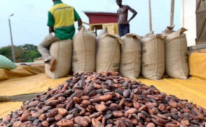 NPP challenges legality of GH¢2,650 cocoa price, demands review