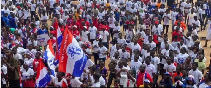 'NPP is sensible and non-violent opposition party' – Grace Amoabeng  ‎
